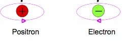 leptons